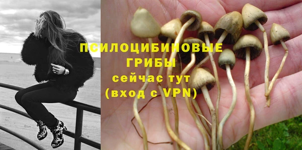 МДПВ Белокуриха